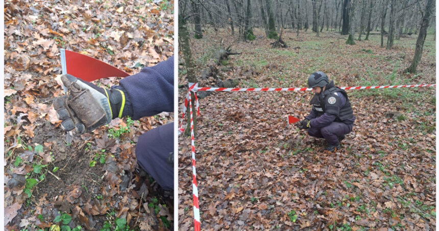 grenada ofensiva functionala descoperita intr o padure din botosani de un pasionat de detectii metalice 692dea8149607