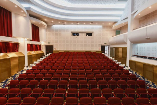 guvernul a alocat peste 188 de milioane de lei pentru teatre opere si filarmonici din 34 de judete 6942df891cb39