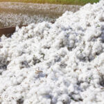 guvernul va achita o datorie veche de peste 30 de ani catre sua pentru un credit folosit la importul de bumbac 6944162fa58d2