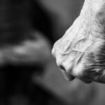 igpr anunta o crestere a numarului de cazuri de violenta domestica dar mai putine fapte penale inregistrate din aceasta cauza in 2025 6946a6717732e