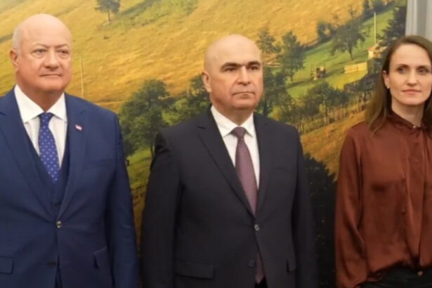 ilie bolojan la viena pentru romania austria este unul dintre cei mai importanti parteneri din europa 69308a42bfd5a