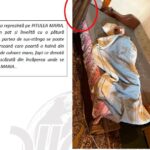 imagini cu victimele si casele lor detalii din rechizitoriu si interceptari socante nucleul palierele gruparii infractionale care lasa batranii fara case si modul de operare 693949c262c81