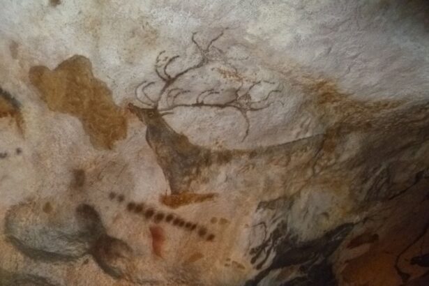 in 1940 un caine a descoperit o pestera plina cu opere de arta antice 69516c91439e8