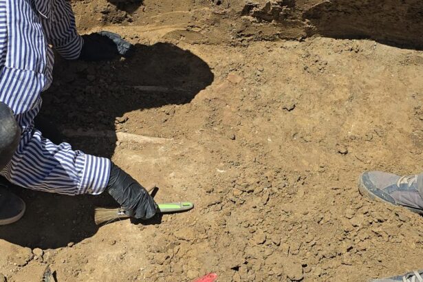 institutul de arheologie din iasi are in lucru monografia necunoscutei necropole romane de pe platforma oil terminal 693f2c6da4888