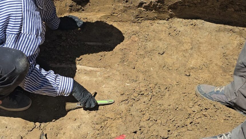 institutul de arheologie din iasi are in lucru monografia necunoscutei necropole romane de pe platforma oil terminal 693f2c6da4888