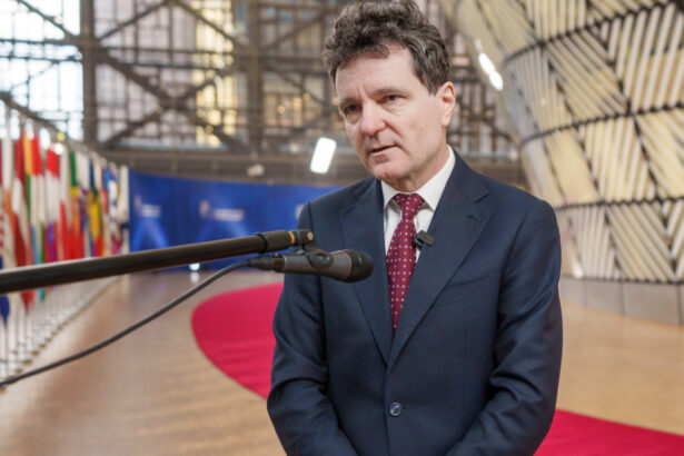 lumea s a schimbat nicusor dan interviu in politico interesele economice bat moralitatea in era trump ue ia decizii prea lent 6949263ce1143