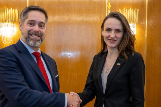 mae sua au recunoscut rolul romaniei ca partener cheie pentru asigurarea securitatii energetice 6941b824b6328