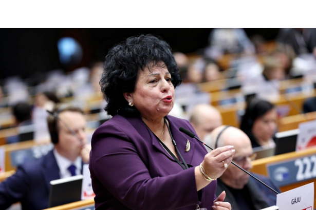 mesaj ferm la comitetul regiunilor de la bruxelles primarul mariana gaju cere protejarea fondurilor pentru agricultura si coeziune 693aee5c77a1e