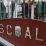 ministerul educatiei premiaza olimpici si profesori pentru performantele internationale ce sume vor primi 692f0743a113c