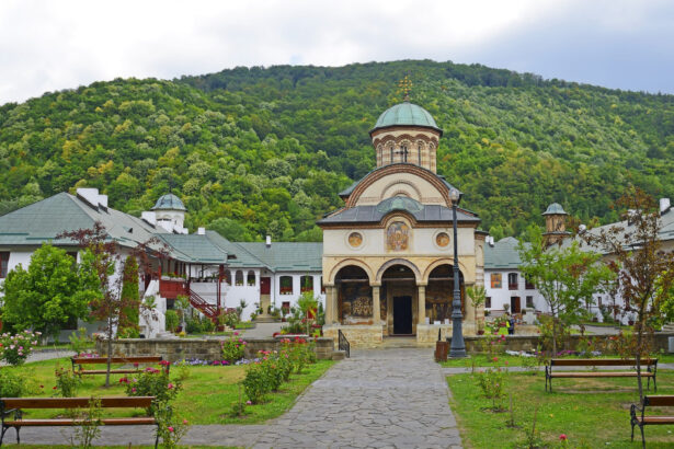mormantul lui mircea cel batran de la manastirea cozia a fost redeschis dupa un secol 6939da083756d