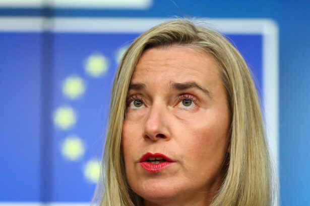 news alert fosta sefa a diplomatiei ue federica mogherini retinuta in belgia ancheta vizeaza posibile fraude cu fonduri europene 692ef5aedd833