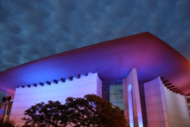 niciun candidat nu a fost admis la concursul pentru postul de director al teatrului national bucuresti cine sunt cei trei aspiranti 69372ffb7af77