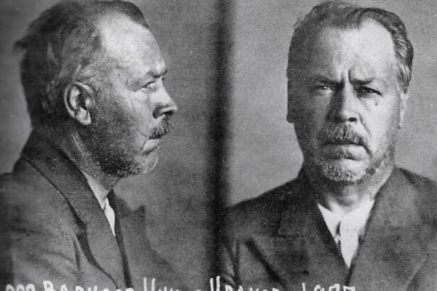 nikolai vavilov savantul care a murit de foame pentru a salva omenirea 6944283193f80