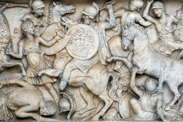 ofiterii militari din roma antica aveau maimute de companie iar acestea aveau la randul lor animalute de companie 69345cfccc3bb