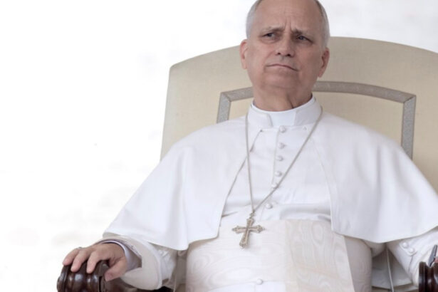 papa leon al xiv lea solicita un armistitiu global de craciun ma intristeaza in mod deosebit faptul ca rusia a respins cererea 694b97d6b74b5