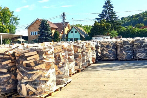 pretul de referinta al lemnului ar putea creste de la 1 ianuarie 2026 masura nu are impact direct asupra pretului platit de populatie 6942a3d491fe5