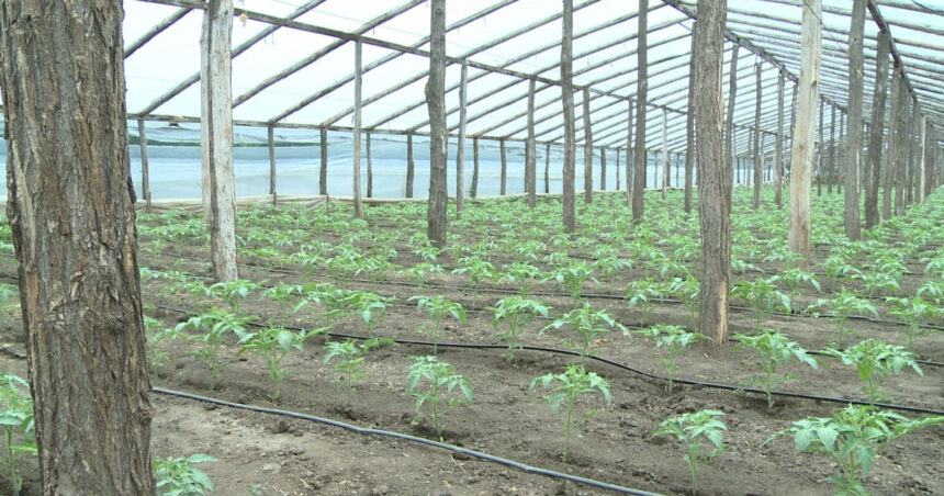 psd va cere in coalitie eliminarea impozitului pe solarii nemultumeste romanii nu aduce bani la buget 69398c3a8f5d4