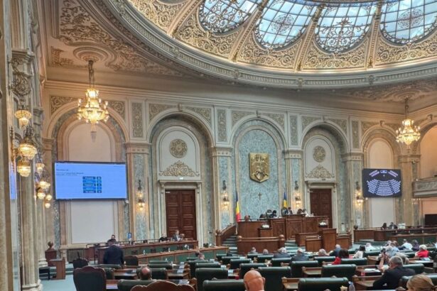 raport de activitate ce au facut cei cinci senatori ai constantei in primul an de mandat 69323e6be7f12