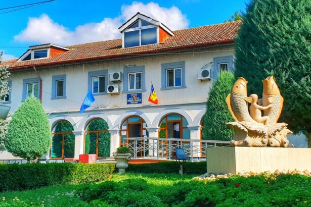 salariile angajatilor din primaria navodari raman in atentia judecatorilor consiliul local duce procesul la curtea de apel 6933adf3ef6dc