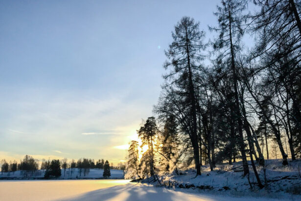 solstitiul de iarna 2025 cea mai lunga noapte a anului de cand incepe sa creasca durata zilei 69464abd78de9