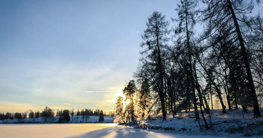 solstitiul de iarna 2025 cea mai lunga noapte a anului de cand incepe sa creasca durata zilei 69464abd78de9