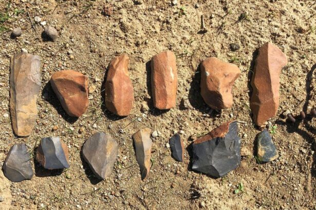 terra amata situl arheologic care spune povestea primilor ingineri ai europei 69456bee7a91a