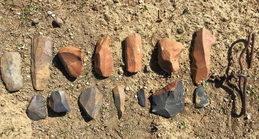 terra amata situl arheologic care spune povestea primilor ingineri ai europei 69456bee7a91a