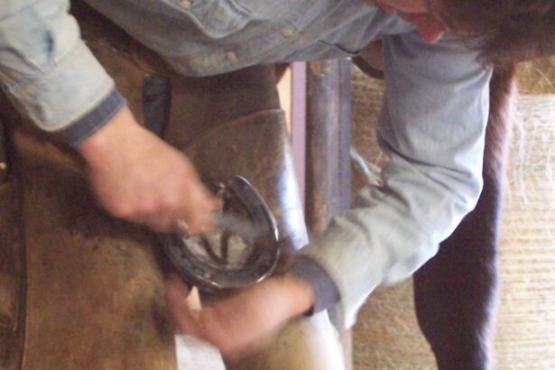 test de cultura generala de ce se spune ca potcoavele aduc noroc 694edea286c50