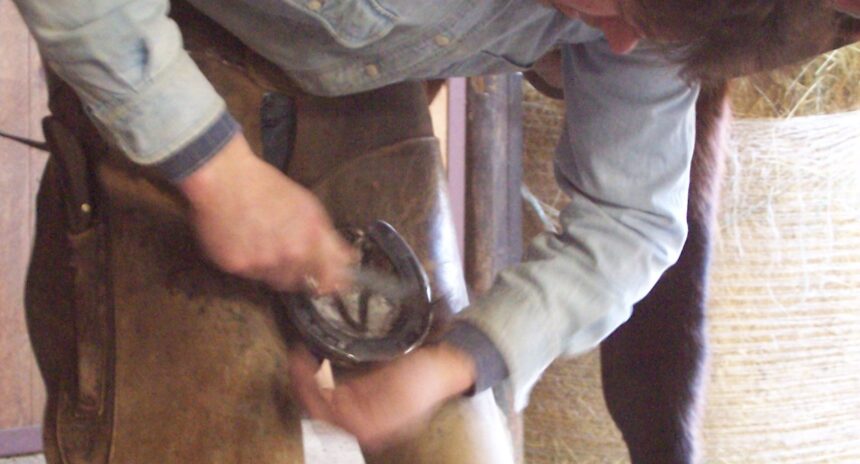 test de cultura generala de ce se spune ca potcoavele aduc noroc 694edea286c50