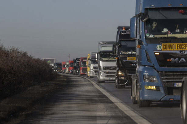 transportatorii primesc sprijin financiar compensari de la guvern de 40 65 de bani pe litrul de motorina pana in martie 2026 693af54583943