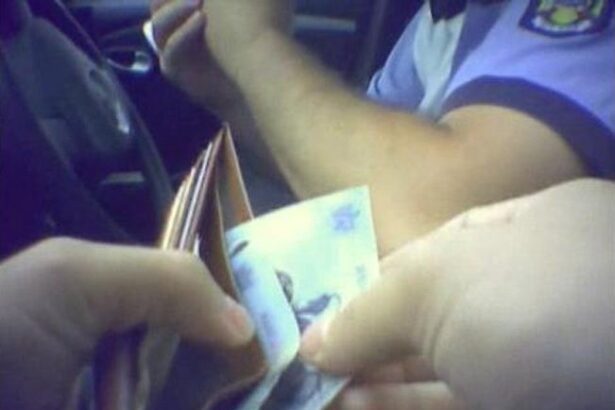 un fost politist de frontiera devenit infractor recidivist cu mai multe condamnari doreste sa fie reabilitat si sa aiba cazierul curat 694678b94f278