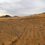 un ritual funerar necunoscut dezvaluit de o movila veche de 4 000 de ani i a uimit pe arheologi 693576531539a