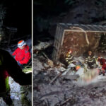 video accident mortal in judetul sibiu doi barbati au murit dupa ce camionul incarcat cu lemne cu care circulau s a rasturnat intr o rapa 6954e75fe298b