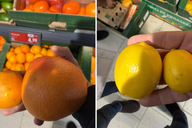 video avertisment de la directorul anpc in romania sunt vandute portocale si lamai care ar trebui date la porci 6947e2dabe36d