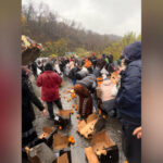 video bataie pe portocale pe o sosea din mehedinti dupa ce un tir s a rasturnat zeci de oameni au navalit sa stranga fructele de pe asfalt 692ec14a17470