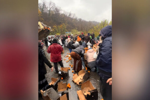 video bataie pe portocale pe o sosea din mehedinti dupa ce un tir s a rasturnat zeci de oameni au navalit sa stranga fructele de pe asfalt 692ec14a17470