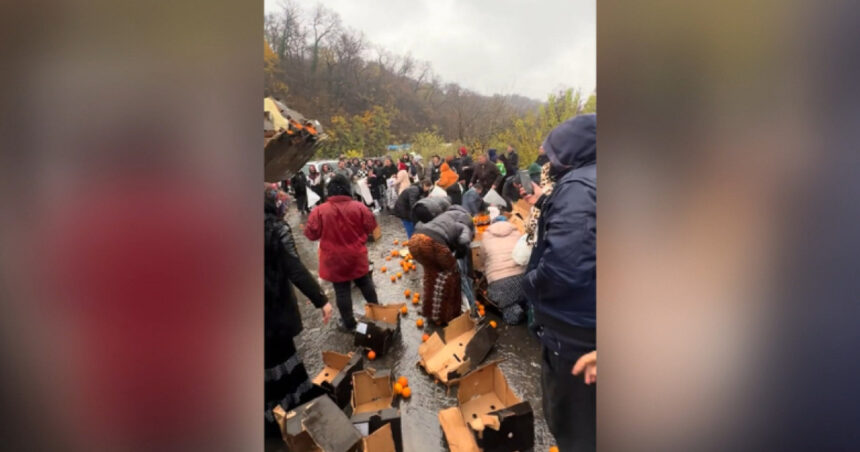 video bataie pe portocale pe o sosea din mehedinti dupa ce un tir s a rasturnat zeci de oameni au navalit sa stranga fructele de pe asfalt 692ec14a17470