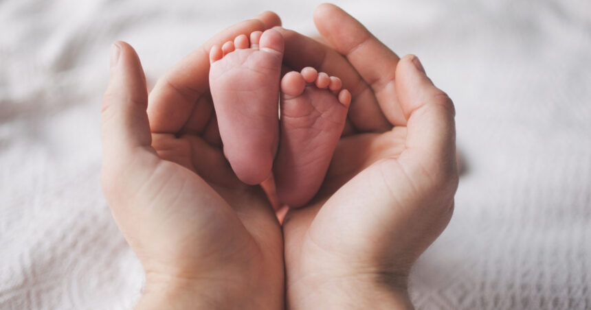 video cand vor primi beneficiarii programului fiv voucherele florin manole este speranta si este sansa la o familie 69302097dc56a