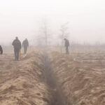 video conducte de irigatii furate in oltenia hotii au sapat transee pe 2 km pentru a le dezgropa 6947df2de75c3