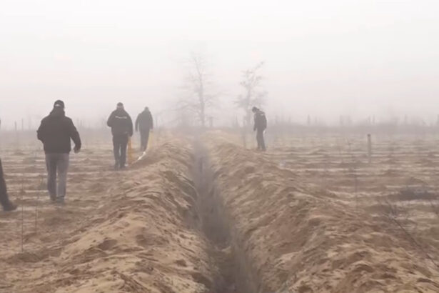 video conducte de irigatii furate in oltenia hotii au sapat transee pe 2 km pentru a le dezgropa 6947df2de75c3