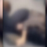 video de ce s au batut doua femei la timisoara un influencer din campania lui calin georgescu in mijlocul scandalului 694667214043f