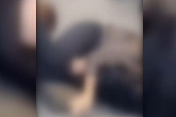 video de ce s au batut doua femei la timisoara un influencer din campania lui calin georgescu in mijlocul scandalului 694667214043f