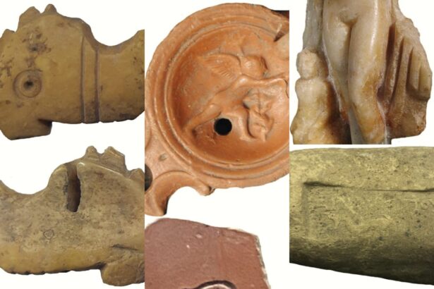 video delfinul ghidul sufletelor in antichitatea tomitana 693ca22743a17