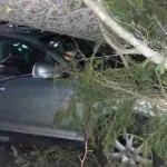 video furtuna pe valea prahovei un copac a cazut peste o masina cu trei persoane la sinaia din cauza vantului puternic 694ee738c54b3