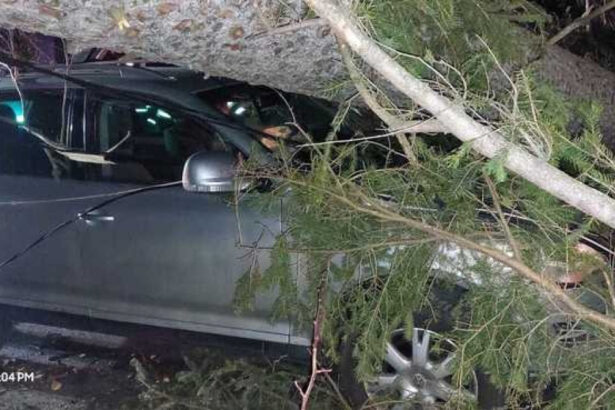 video furtuna pe valea prahovei un copac a cazut peste o masina cu trei persoane la sinaia din cauza vantului puternic 694ee738c54b3