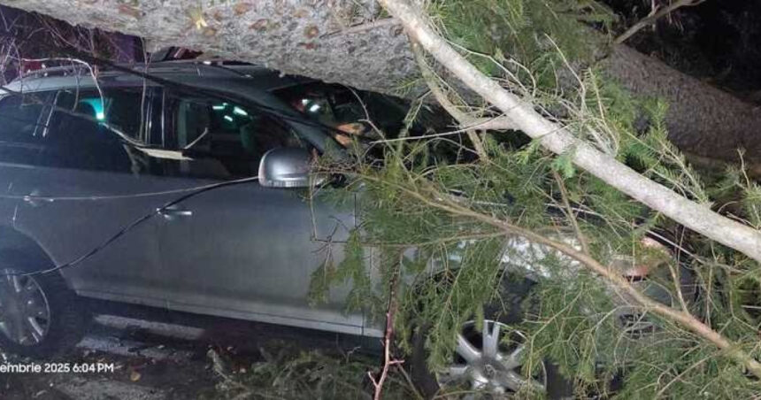 video furtuna pe valea prahovei un copac a cazut peste o masina cu trei persoane la sinaia din cauza vantului puternic 694ee738c54b3