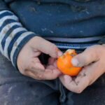 video minune de craciun pentru familiile sarace din donatii preotul care aduce bucurie pentru 10 500 de copii de unul singur n as putea 693f972081271