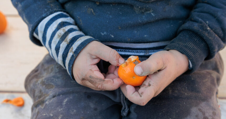 video minune de craciun pentru familiile sarace din donatii preotul care aduce bucurie pentru 10 500 de copii de unul singur n as putea 693f972081271
