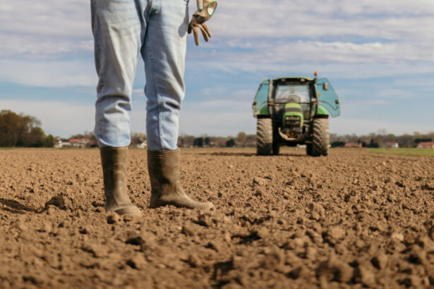 video motiv de bucurie pentru fermierii din sudul tarii a inceput reabilitarea sistemelor de irigatii cand vor fi puse in functiune 693f327a63795