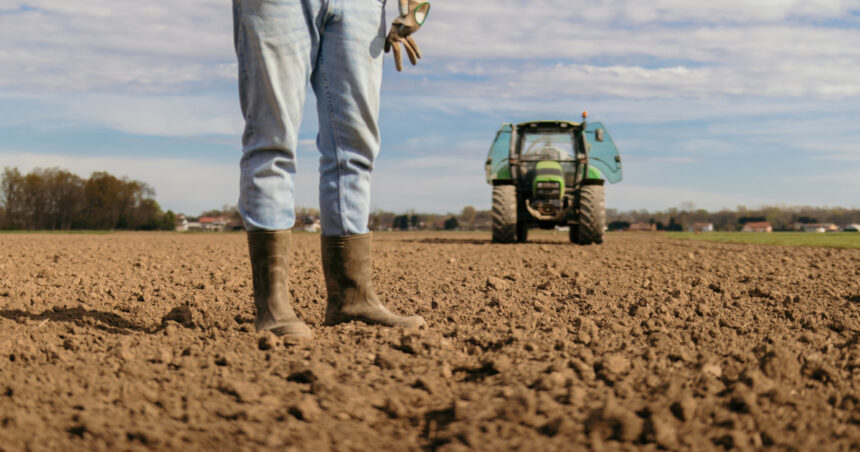 video motiv de bucurie pentru fermierii din sudul tarii a inceput reabilitarea sistemelor de irigatii cand vor fi puse in functiune 693f327a63795